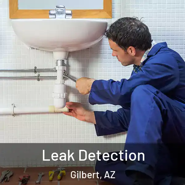  Leak Detection Gilbert, AZ