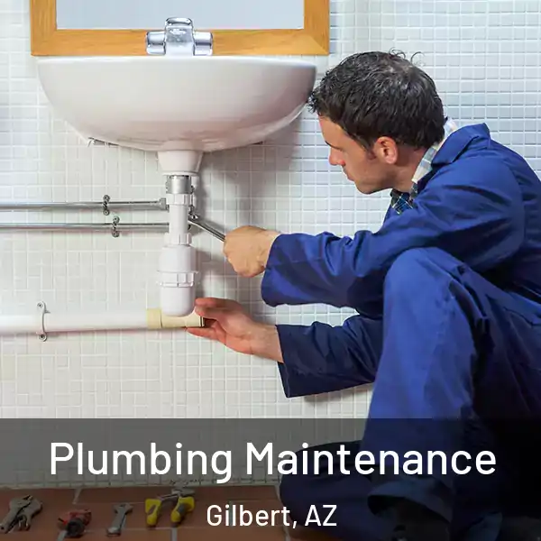  Plumbing Maintenance Gilbert, AZ