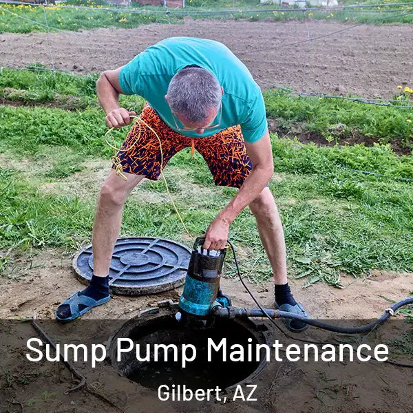  Sump Pump Maintenance Gilbert, AZ