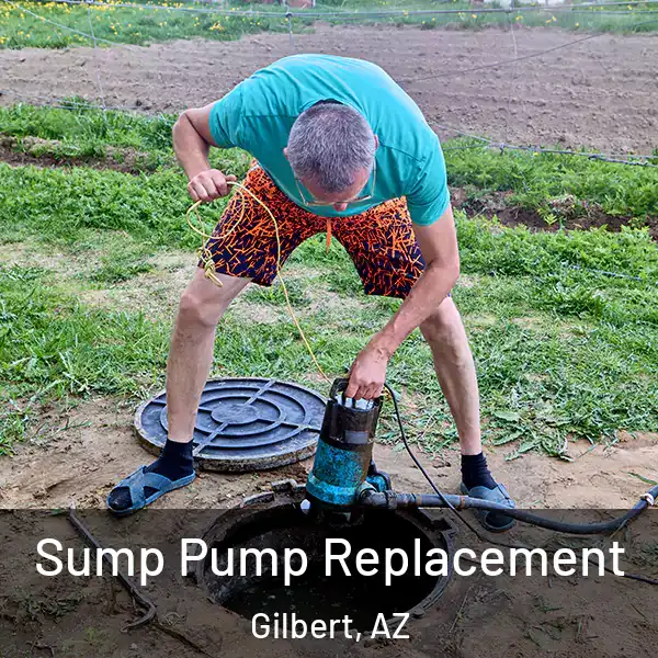  Sump Pump Replacement Gilbert, AZ