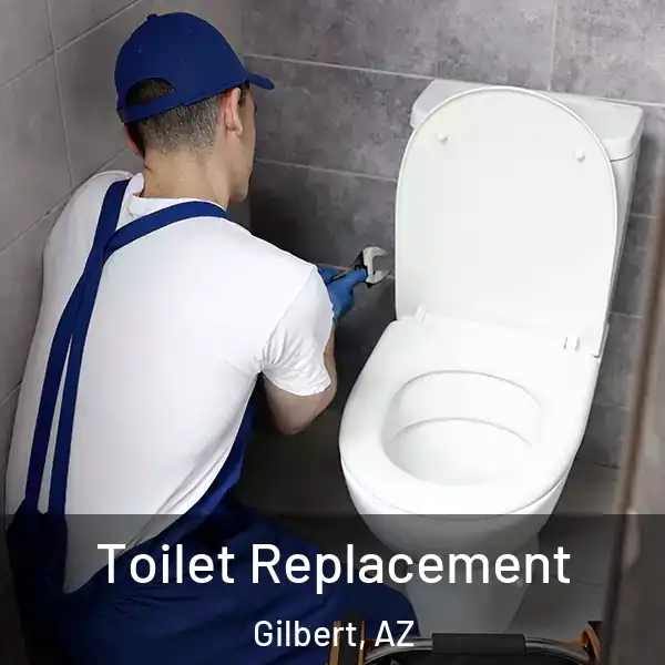  Toilet Replacement Gilbert, AZ