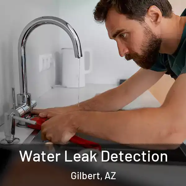  Water Leak Detection Gilbert, AZ